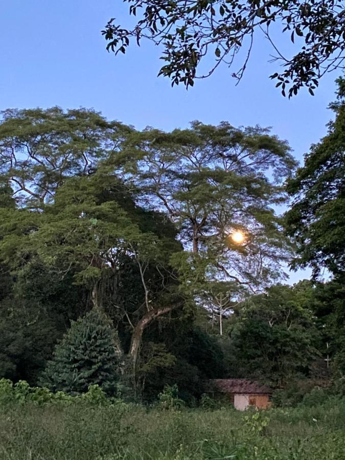 Recanto Da Floresta - Casa De Campo Em Secretario Petrópolis Kültér fotó