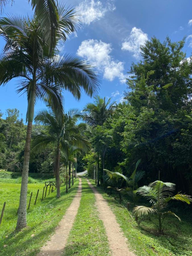 Recanto Da Floresta - Casa De Campo Em Secretario Petrópolis Kültér fotó